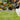 Facility Grounds